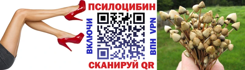 Псилоцибиновые грибы мицелий  купить наркотики сайты  Алупка 